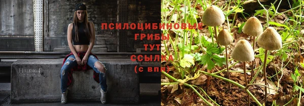 jwh Богданович