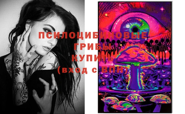 гашик Бронницы
